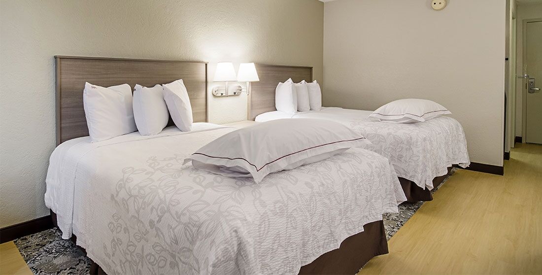 Red Roof Inn Plus Boston - Mansfield - Foxboro Exterior photo